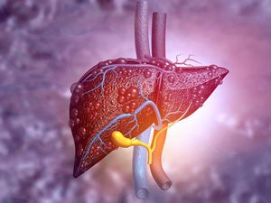 Waspada Hepatitis, Konsumsi 5 Asupan yang Menyehatkan Hati Ini