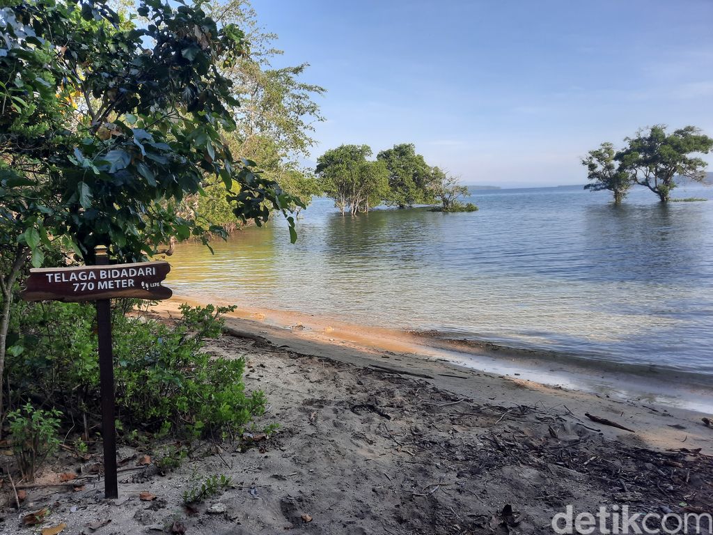 Plataran Menjangan Bali
