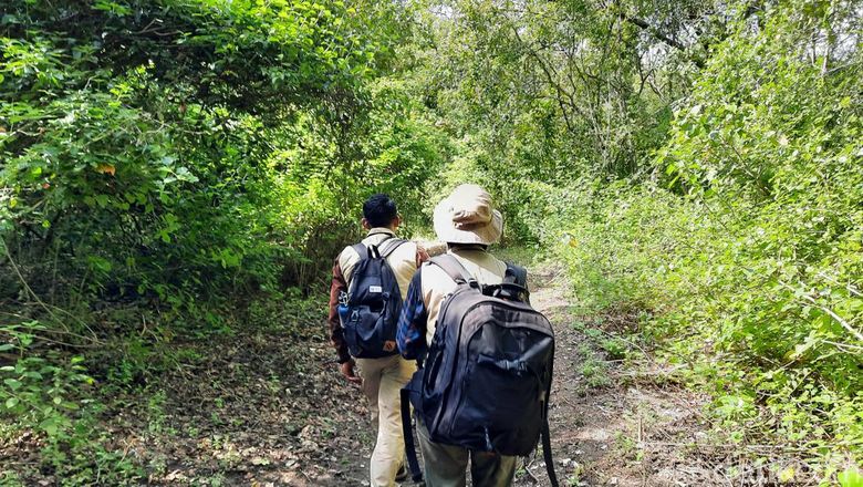 Plataran Menjangan Bali Plataran Menjangan Bali