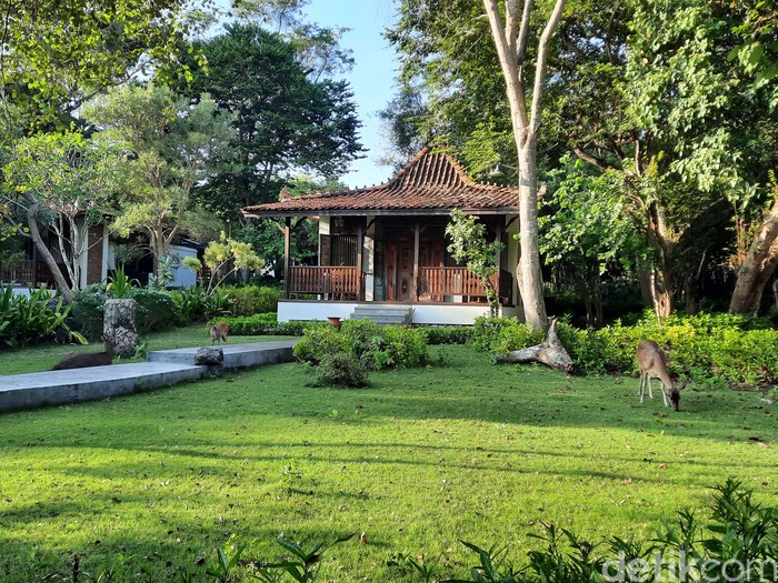 Plataran Menjangan Bali