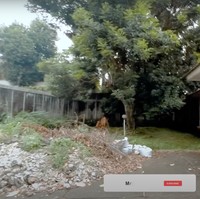 Rumah yang masih berbentuk bangunan tua yang didominasi warna putih itu nantinya akan direnovasi oleh Luna Maya. Luna sendiri memang sengaja membeli rumah tersebut untuk nantinya disambungkan dengan rumah lamanya yang terletak di sampingnya. Foto: YouTube/Ayu Dewi