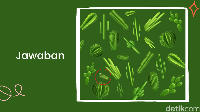 Teka-teki Ini Menguji Ketajaman Saraf Mata, Temukan Jawaban dalam 3 Menit!