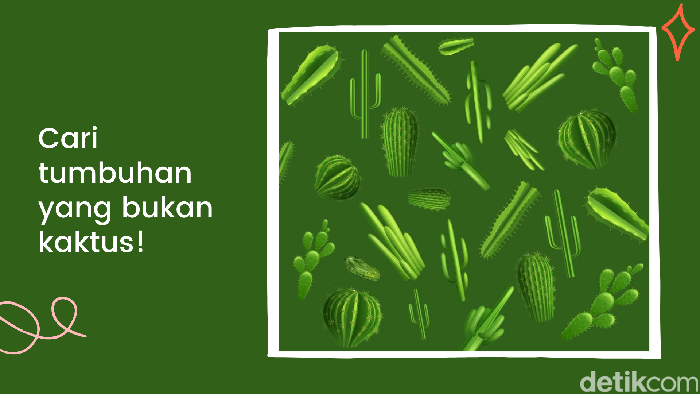 Teka-teki Ini Menguji Ketajaman Saraf Mata, Temukan Jawaban dalam 3 Menit!