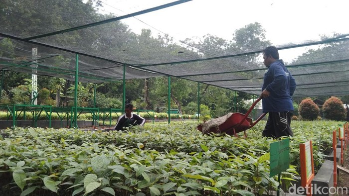 Aktivitas petugas produksi di BPDas HL Cimanuk Citanduy, Majalengka.
