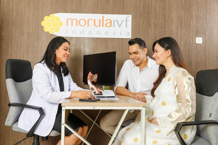 Morula IVF Morula IVF