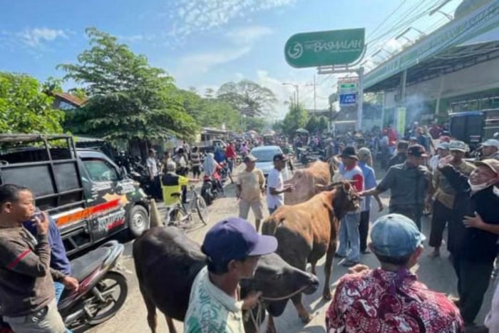 Pasar hewan tutup di Pasuruan, warga berjualan di ppinggir jalan