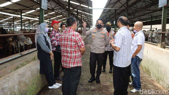 Polres dan Dinas Peternakan Kabupaten Cianjur cek Peternakan yang didapati sapi terpapar PMK