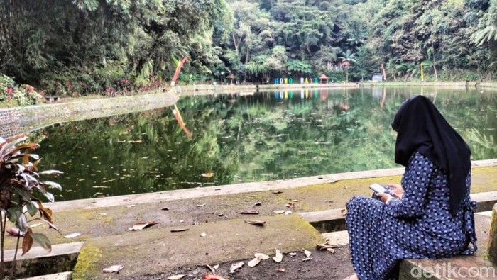 Rowo Bayu Banyuwangi