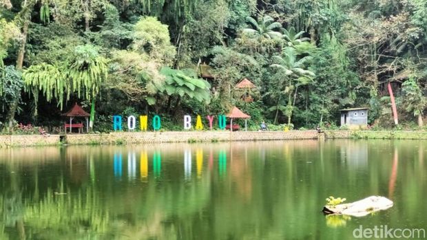 Rowo Bayu Banyuwangi