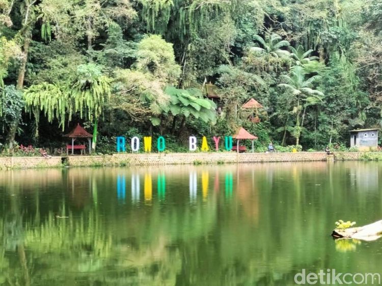 Rowo Bayu yang Dikaitkan dengan KKN di Desa Penari Punya Spot Angker