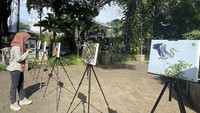 Berdasarkan hasil pantauan Biodiversity Warriors Yayasan KEHATI di sebagian besar RTH di Jakarta pada 2018, terdapat potensi keanekaragaman hayati, yaitu 7 jenis jamur makro, 651 jenis flora, 40 jenis capung, 29 jenis kupu-kupu, 40 jenis herpetofauna,130 jenis burung dan 8 jenis mamalia.