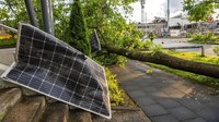 Modul sel surya yang hancur tergeletak di pinggir jalan di samping pohon tumbang akibat cuaca buruk di Paderborn, Jerman. (Lino Mirgeler/dpa via AP)