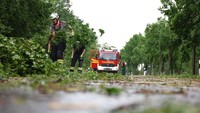Petugas pemadam kebakaran membersihkan puing-puing setelah diduga terjadi puting beliung di Lippstadt, Jerman. (Friso Gentsch/dpa via AP)