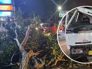 Rem Blong, Truk Molen Tabrak Pohon di depan RS Bali Jimbaran