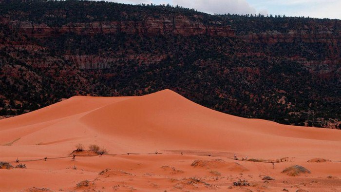 Coral Pink Sand Dunes