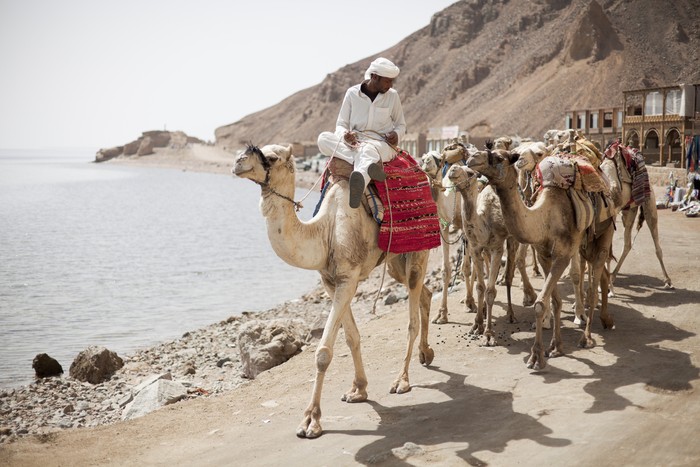 Dahab di Semenanjung Sinai, Mesir
