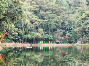 Saat Kades Bayu Banyuwangi Bongkar Lokasi KKN Desa Penari, Simak Kisahnya!