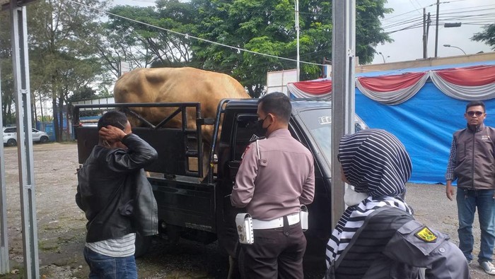 Jajaran Polsek Sukalarang dan Disnakan saat melakukan pemeriksaan administrasi kendaraan hewan ternak yang akan melintasi wilayah hukum Kota Sukabumi.