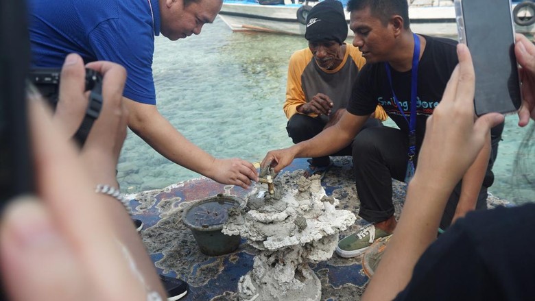 LPDP tanam terumbu karang di Kepulauan Seribu