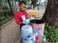 Jalan Hidup Starling di Jakarta yang Nggak Banyak Orang Tahu