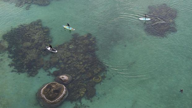 Pesona Pantai Tanjung Tinggi di Pulau 'Laskar Pelangi' Foto udara sejumlah wisatawan beolahraga stand up paddle di Pantai Tanjung Tinggi, Belitung, Kepulauan Bangka Belitung, Sabtu (21/5/2022). Pantai yang memiliki batu Meteorit (Tektit/Satam) menjadi daya tarik wisatawan berkunjung pada hari libur. ANTARA FOTO/ Fakhri Hermansyah/hp.