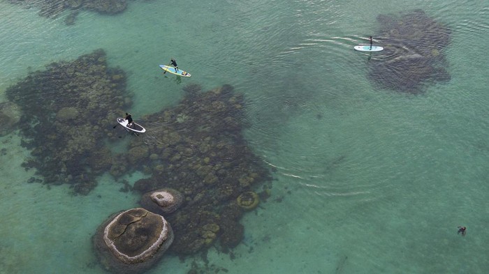 Pesona Pantai Tanjung Tinggi di Pulau 'Laskar Pelangi' Foto udara sejumlah wisatawan beolahraga stand up paddle di Pantai Tanjung Tinggi, Belitung, Kepulauan Bangka Belitung, Sabtu (21/5/2022). Pantai yang memiliki batu Meteorit (Tektit/Satam) menjadi daya tarik wisatawan berkunjung pada hari libur. ANTARA FOTO/ Fakhri Hermansyah/hp.