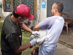 Rabies Meningkat, Distan Tabanan Awasi Perbatasan
