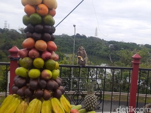 Ritual Sesaji Rewanda di Semarang, Pesan Sunan Kalijaga untuk Menjaga Alam
