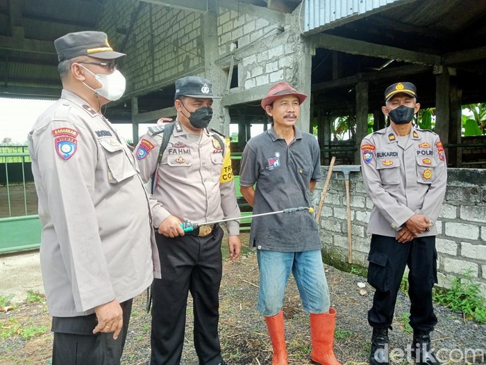 penyakit mulut dan kuku