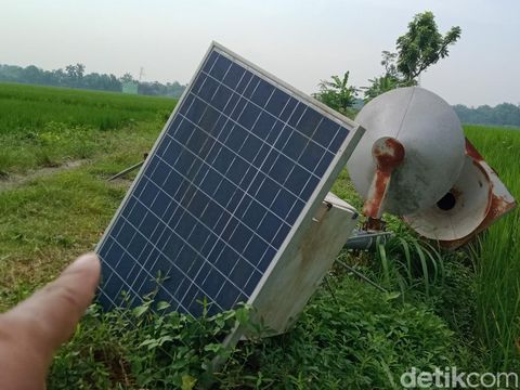 Alat perangkap hama wereng di Desa Plosowangi, Kecamatan Cawas, Klaten, ambruk, dipotret pada Senin (23/5/2022) siang.