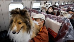 Baru Nih, Anjing Duduk Bareng Pemilik Saat Naik Shinkansen