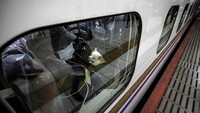 Pemiliknya, duduk di kursi berlapis plastik, santai berdampingan dengan anjing mereka. 