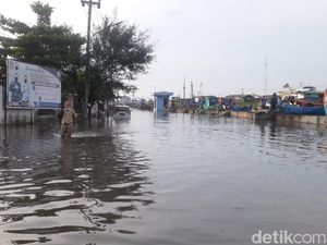 Melihat Dampak Banjir Rob di Sejumlah Wilayah Pesisir Jateng