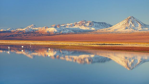 Gurun Atacama, Chile