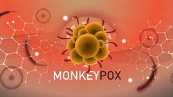 Giliran Netizen China Tuduh AS Sebarkan Virus Cacar Monyet