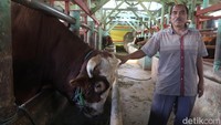Salah satu peternak di Kecamatan Arcamanik, Bambang Hariyanto kepada detikJabar, Senin (23/5/2022), mengatakan akan menyetop pengiriman.