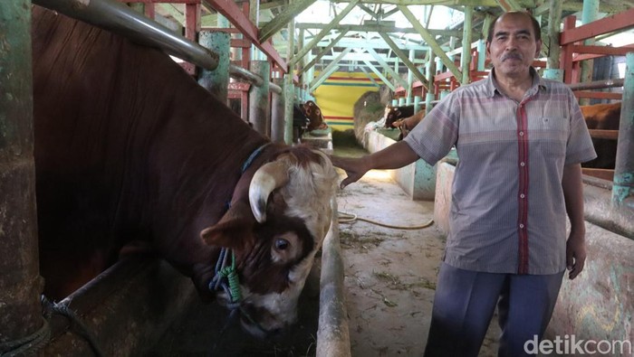 Ini Cara Peternak Sapi di Bandung Antisipasi Penyebaran PMK Ini Cara Peternak Sapi di Bandung Antisipasi Penyebaran PMK