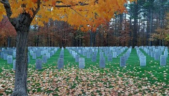 Pemakaman dan hutan. Jadi mikir gak sih?