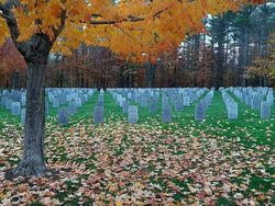 8 Foto yang Menipu Mata, Dikira Editan Padahal Asli