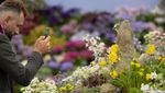 Menikmati Indahnya Bunga Bermekaran di Chelsea Flower Show
