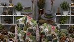 Menikmati Indahnya Bunga Bermekaran di Chelsea Flower Show