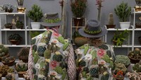 Unik,ada lho pasangan yang niat banget menggunakan kostum kembar dengan motif kaktus.