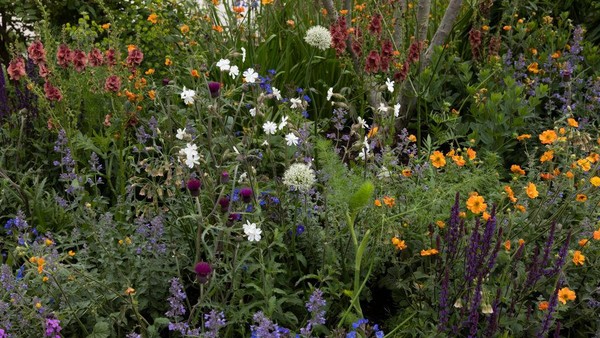 Begini penampakan salah satu sudut taman penuh bunga di Chelsea Flower Show, London, Inggris.