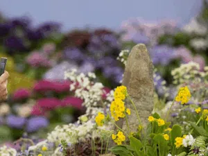 Menikmati Indahnya Bunga Bermekaran di Chelsea Flower Show