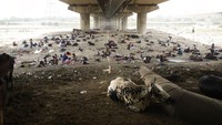 Para tunawisma ini memilih tidur di bawah jembatan saat cuaca panas melanda India.  