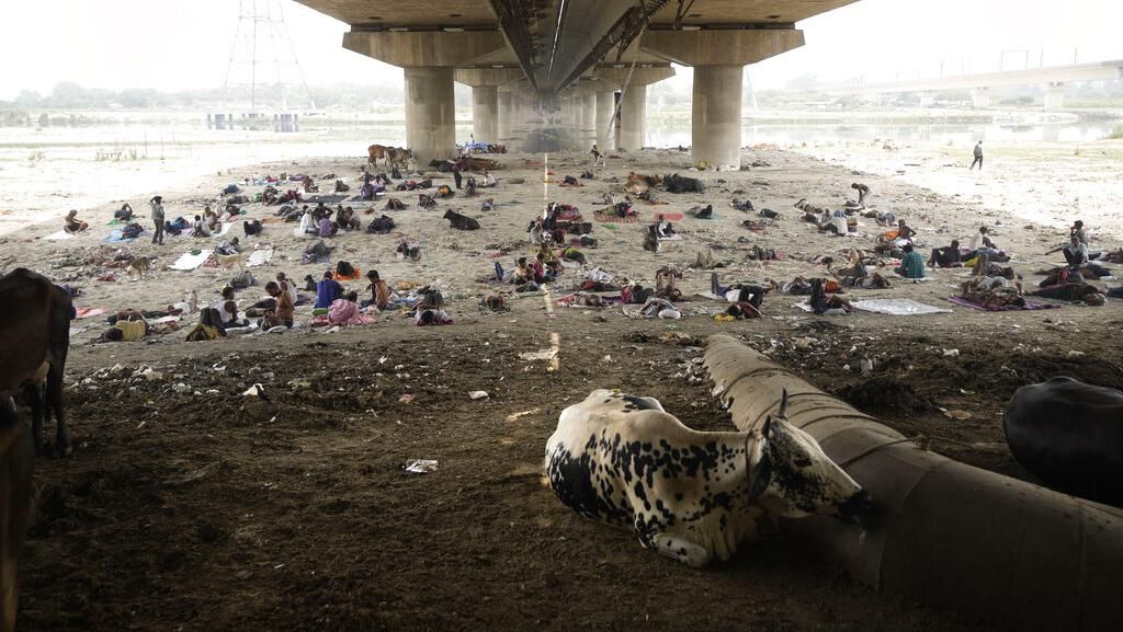 Panas Ekstrem di India Bikin Tunawisma Ngadem di Kolong Jembatan