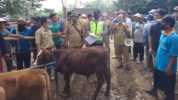 Pemeriksaan sapi di Pasar Hewan Pracimantoro, Wonogiri, Senin (23/5/2022).