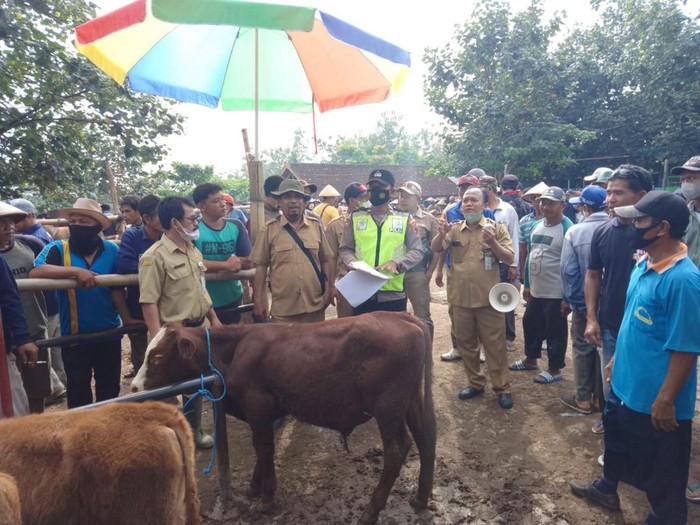 Pemeriksaan sapi di Pasar Hewan Pracimantoro, Wonogiri, Senin (23/5/2022).