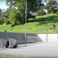 Saking luasnya, rumah Tya Arifin juga memiliki lapangan pribadi. Ada lapangan untuk bermain golf serta bermain basket atau tenis. Foto: YouTube/THE TYAS FAMILY