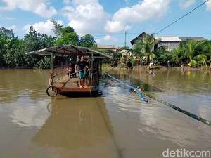 Ribuan Ikan Mabuk di Sungai Brantas Perbatasan Gresik-Sidoarjo-Surabaya